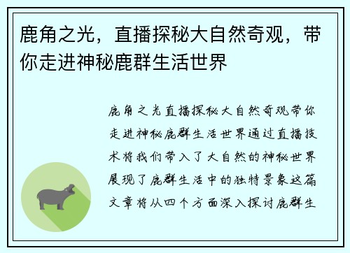 鹿角之光，直播探秘大自然奇观，带你走进神秘鹿群生活世界